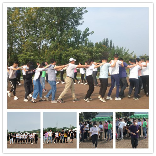 图片9